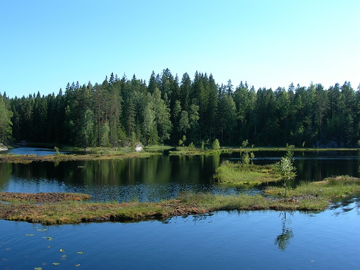 Parque Nacional Nuuksio, em Espoo | Foto por Claudio Saavedra (CC BY-NC-SA 2.0)